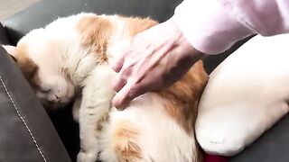 Finally getting the belly