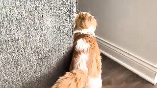 Appreciating himself