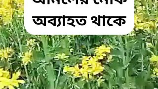 মৃত্যুর পরেও যে আমলের নেকি অব্যাহত থাকে