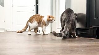 Matter of ignoring