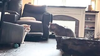 I didn’t kiss him