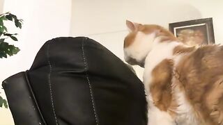“I’m just checking on him”