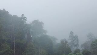 a beautiful morning