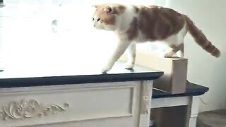 Being a mischievous guy