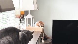 Extra trouble