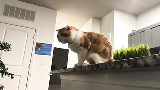 Close one