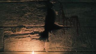 Azrael hindi dubbed movie