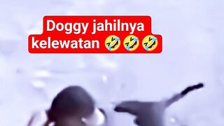 doggy jahilnya kelewatan tuannya di kencingin  #funny #shorts