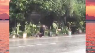 kira kira apa ilmu abang ini