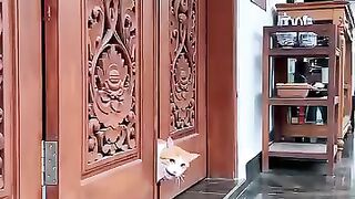 Kasian Pintu