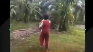 Masih SD udah bengis begini, suram masa depanmu dik.