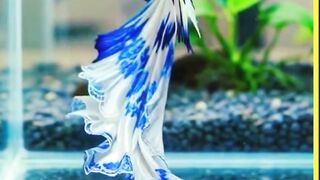 নদীর রঙিন রহস্য! দেখলে অবাক হবেন!