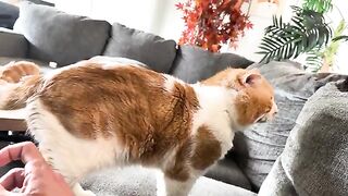 Getting comfy
