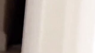 Pets compilation 2