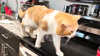 Puddler