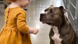 Everyone overlooked him at the shelter, until she walked up. That gentle take from her hand and that big hug said it all.