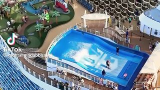 Beautiful Biggest Ship