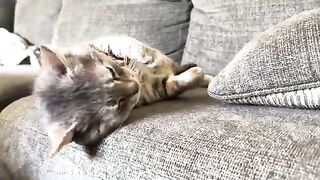 Pursed guy