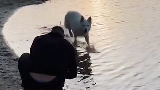Big video