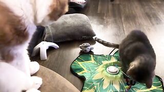 He breaks things