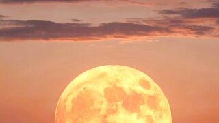 Don't Miss Tonight's Strawberry Moon