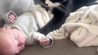Cat Rests Sleeping Baby