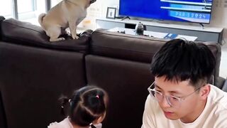 😱🎂 | Funny Dog Video