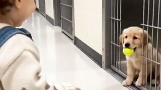 Hey, want to play?" 🐾🎾 ! 🥰✨ ​