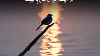 Tilawat e Quran Majeed 93