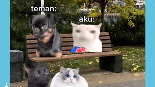 siapa yg punya teman kayak gini 🤣