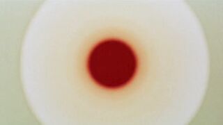 Black Emanuelle 1975