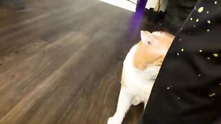 The thumbnail king