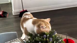 Stop and smell the flowers