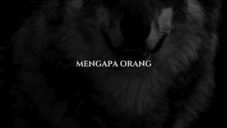 Pernahkah kamu bertanya-tanya mengapa orang bijak sering menyarankan kita untuk hidup seperti serigala? 🐺