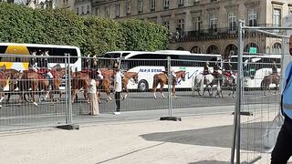 France vidéo.