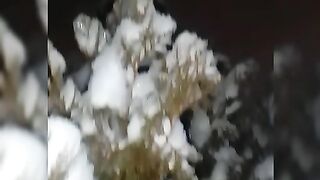Snowfall video