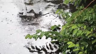 Meditation music
