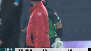 cricket