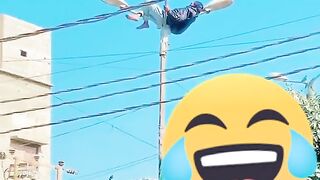 Just funny video