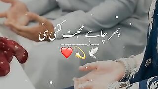 Shadi Bahi Pr Honi Hoti Hai ✨???? -- Zeeshan Iqbal ❤️ -- Urdu Status --