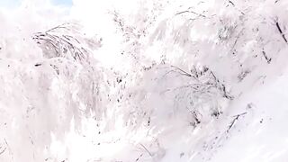 What a neture|this is ice tree way| cool feelings