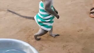Princess Shally Smart Preparing Water