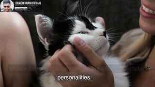 Beautiful Cat Breeds for Home