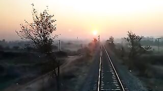 Facing the way to sun