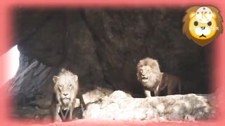 animal animated movie dubbed Urdu Hindi part(3) 2023