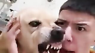 Dog can be a reaper too