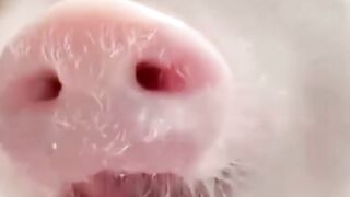 #shorts Смешные Видео Из Тик Ток 6.