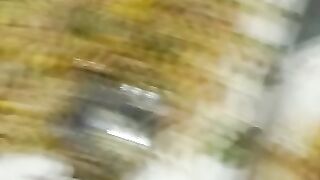 Chinese Rice | mix vegetable rice | Pulao