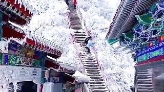 Beautiful Scene Of Snowfall