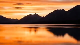 Nature 313